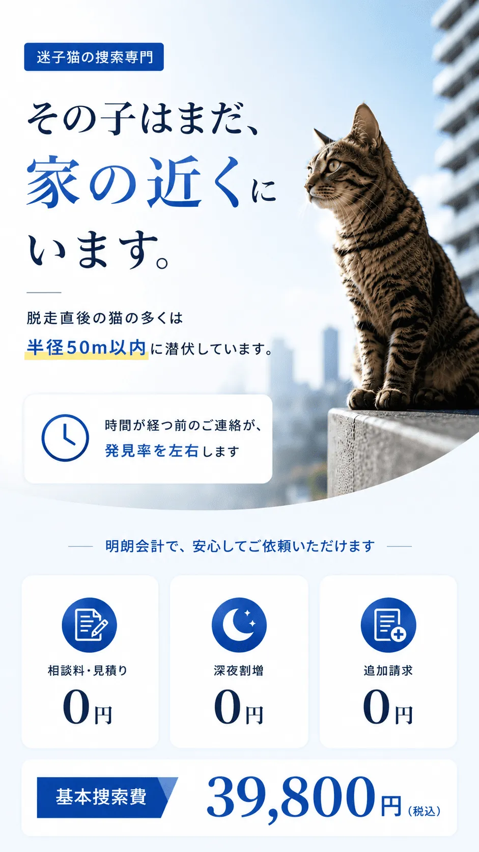 迷子猫の捜索専門｜大阪・関西全域6府県対応。その子はまだ、家の近くにいます。脱走直後の猫の多くは半径50m以内に潜伏しています。時間が経つ前のご連絡が、発見率を左右します。明朗会計で、安心してご依頼いただけます。相談料・見積り0円、深夜割増0円、追加請求0円。基本捜索39,800円（税込）。