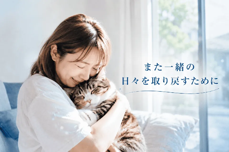 保護された猫を抱いて安堵する飼い主。また一緒の日々を取り戻すために。
